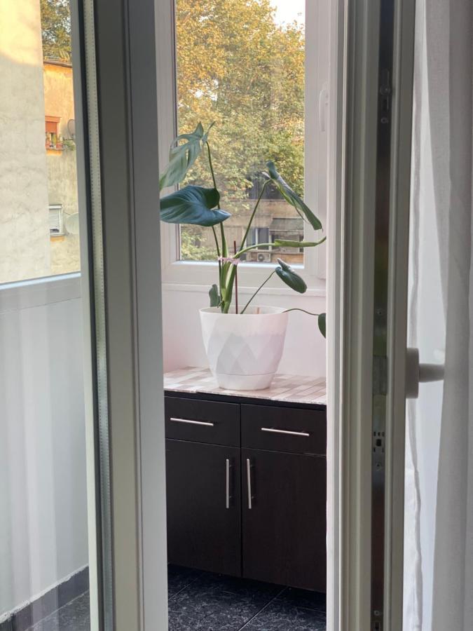 Central Welcoming Apartment In Тирана Екстериор снимка