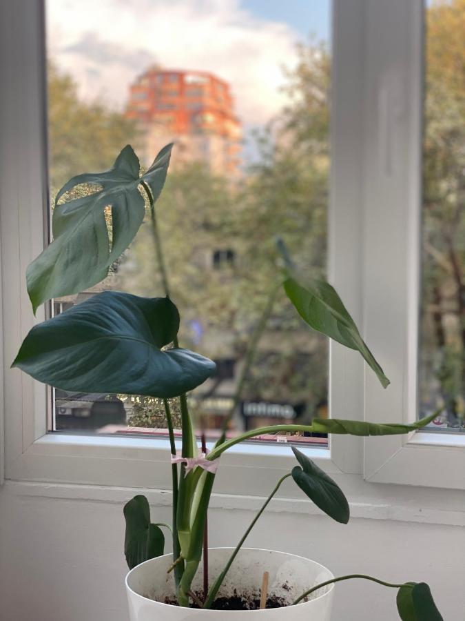 Central Welcoming Apartment In Тирана Екстериор снимка