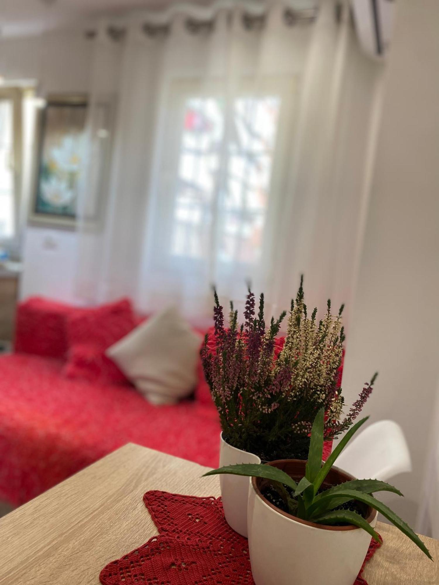Central Welcoming Apartment In Тирана Екстериор снимка